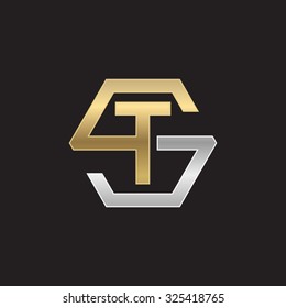 Logotipo inicial TS ST, logotipo en forma de hexágono S