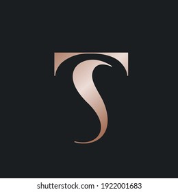 TS, logotipo de monograma ST.Icono de firma tipográfica abstracta.Letra t y letra s.Signo de letras aislado en fondo oscuro.iniciales alfabetas.Forma de caracteres en mayúsculas.Belleza, estilo de lujo.Color de oro.