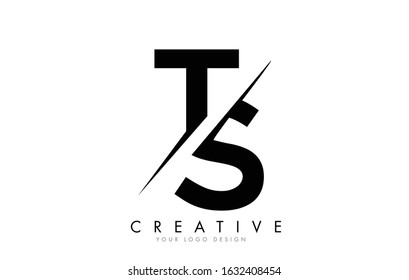 TS T S  Letter Logo Design with a Creative Cut. Creative logo design.