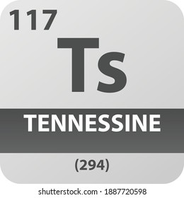 Ts Tennessine  Chemical Element Periodic Table. Single vector illustration, colorful clean style Icon with molar mass and atomic number for Lab, science or chemistry education.