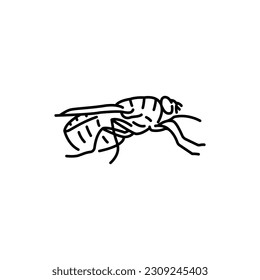 Tsetse indect black line icon. Pictogram for web page, mobile app, promo.