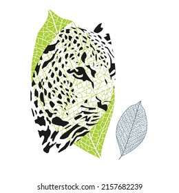 T-shirt design of a leopard head combined with two leavesisolated on white. Jungle themed vector illustration.