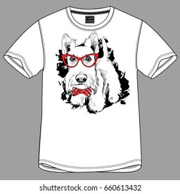T-shirt design. Scottish Terrier in a red glasses and in a checkered bow tie on a black grunge background. Vector illustration.