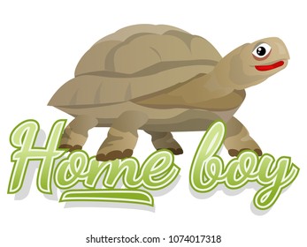t-shirt design with a turtle and a Mama´s boy logo. Made as a clip art cartoon. 