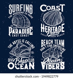 Tshirt print with ocean shells, vector sketch emblems for apparel design. Isolated labels with sea conch and typography . Hand drawn t shirt prints for surfing, snorkeling or diving club sport team