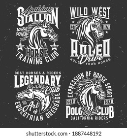 Tshirt Prints With Horse Stallion Heads, Equestrian Dressage, Polo Sport Club Vector Mascots. Mare Animal, Horse And Typography On Black Grunge Background. Bronco Racing Sports Team T Shirt Prints Set