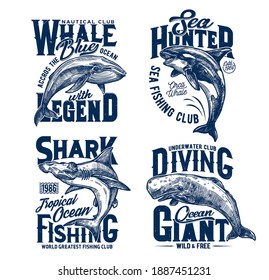 Tshirt prints with hummer head shark, killer and blue whales, vector mascots for fishing, diving or marine club. Sea predator animals, ocean adventure team prints with typography on white background