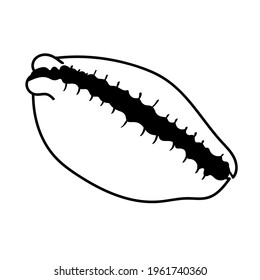 Tsipreya. Kauri. Shell. Summer icons. Black-white set minimalistic set. Simple vector illustration on a white background. Vector illustration