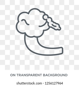 Tsunami icon. Tsunami design concept from Weather collection. Simple element vector illustration on transparent background.