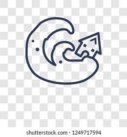Tsunami icon. Trendy Tsunami logo concept on transparent background from Weather collection