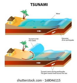Tsunami is a series of huge waves. It washes against the coast several times with great speed and force. Tsunamis generated by submarine earthquakes travel at subsonic speed across the ocean surface.