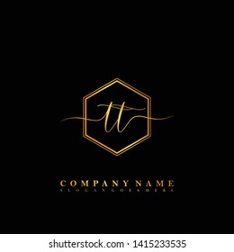 TT Initial luxury handwriting logo vector
