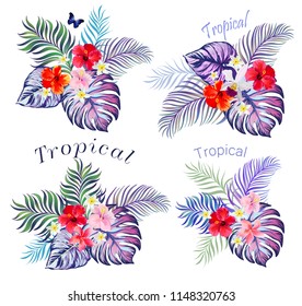 Ttropical set with palm leaves and exotic flowers and butterflyes. Vector isolated illustration on white background.