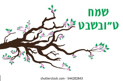 Tu Bishvat greeting card, poster. Jewish holiday, new year of trees. Blooming tree. Vector illustration