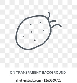 Tuber icon. Tuber design concept from Fruit and vegetables collection. Simple element vector illustration on transparent background.