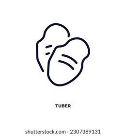 tuber icon. Thin line tuber icon from vegetables and fruits collection. Outline vector isolated on white background. Editable tuber symbol can be used web and mobile