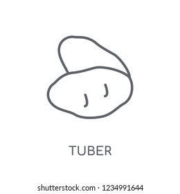 Tuber linear icon. Modern outline Tuber logo concept on white background from Fruits and vegetables collection. Suitable for use on web apps, mobile apps and print media.