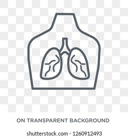 Tuberculosis icon. Trendy flat vector Tuberculosis icon on transparent background from Diseases collection. High quality filled Tuberculosis symbol use for web and mobile