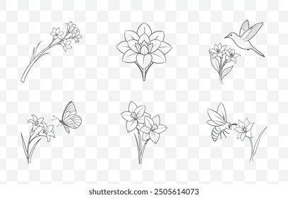 Tuberose Flower Line Art Vector Set Elegant Botanical Illustrations for Design Projects and Artworks

