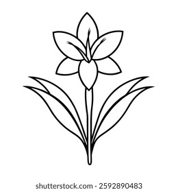 Tuberose flower line art vector on white background