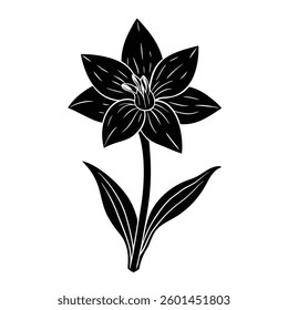 Tuberose flower vector on white background