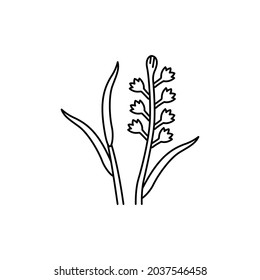 Tuberose сolor line icon. Essential oils. Pictogram for web page, mobile app, promo. UI UX GUI design element. Editable stroke.