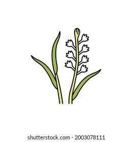 Tuberose-farbige Linie Symbol. Ätherische Öle. Piktogramm für Webseiten, mobile App, Promo.