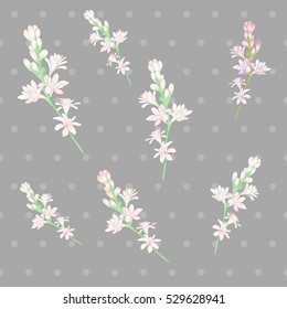 Tuberose vector Image medicinal, perfumery and cosmetic plants.Seamless pattern. Wallpaper. Use printed materials, signs, posters, postcards, packaging. 