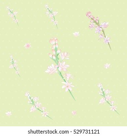 Tuberose vector Image medicinal, perfumery and cosmetic plants.  Seamless pattern. Wallpaper. Use printed materials, signs, posters, postcards, packaging. 