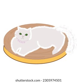 tub-shaped cat scratcher and cat bed