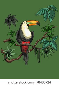 tucan