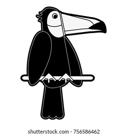 Tucan bird cartoon