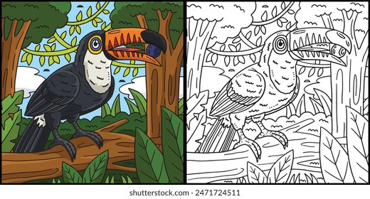 Tucan Bird Coloring Page Colored Illustration