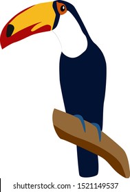 Tucan bird, illustration, vector on white background.