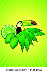 Tucan, palms and mojito