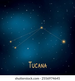 Tucana constellation in a starry night sky with bright stars and cosmic patterns.