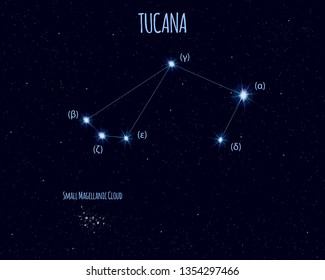 Tucana (The Toucan) constellation, vector illustration with the names of basic stars against the starry sky 