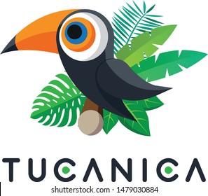 Tucanica logotype with Toucan bird