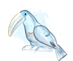Tucano Bird Vector Watercolor. Blue Poster