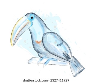 Tucano bird vector watercolor. blue poster