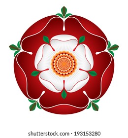 Tudor Dynasty Rose - detailed vector shaded illustration - English Symbol -  Combined the red rose of the house of Lancaster and the White rose of the house of York after the War of The Roses 