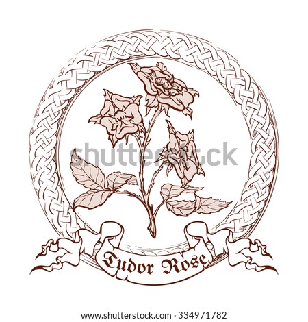 Tudor rose in a circular Celtic frame. Realistic presentation of the heraldic symbol of the Tudor royal dynasty. Sketch style drawing. EPS10 vector illustration.