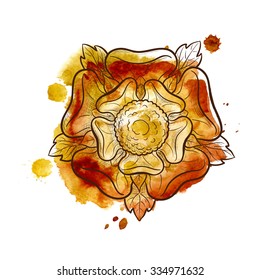 Tudor rose. Traditional heraldic emblem of the Tudor dynasty widely used as ornamental motif in interior design. Sketch above traced watercolor background. EPS10 vector illustration.