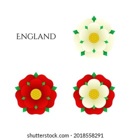 Tudor rose vector isolated icons set. Traditional heraldic emblem of England. The war of roses of houses Lancaster and York.