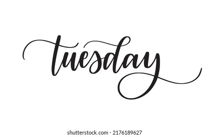 Tuesday Cute Modern Calligraphy Word Stock Vector (Royalty Free ...