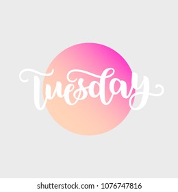 Tuesday. Handwriting font by calligraphy. Vector illustration on colorful gradient background. EPS 10. Brush white lettering. Day of Week