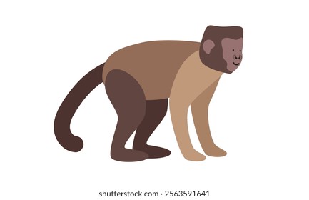 Tufted capuchin cartoon clipart. Brown capuchin or black-capped capuchin vector illustration in flat style. New World monkey. Hand-drawn wild animal concept