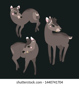 Tufted deer collection of animals isolated. Wildlife characters animals near-threatened
