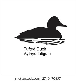 Tufted Duck Silhouette Vector Illustration Isolated on White Background