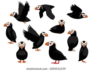 Tufted Puffin Cute Flying Standing Poses Cartoon Vector Illustration